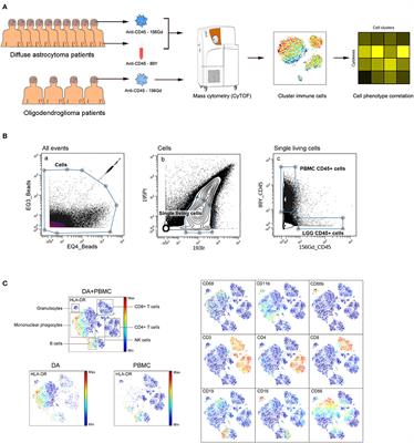 High Dimensional Mass Cytometry Analysis Reveals Characteristics of the Immunosuppressive Microenvironment in Diffuse Astrocytomas